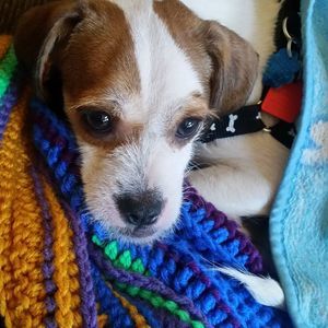 Meet your Posher, Deidre